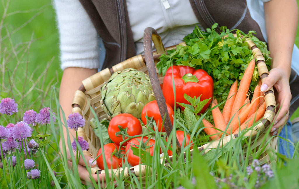 Lasagna Gardening - The Easiest Vegetable Garden at Home